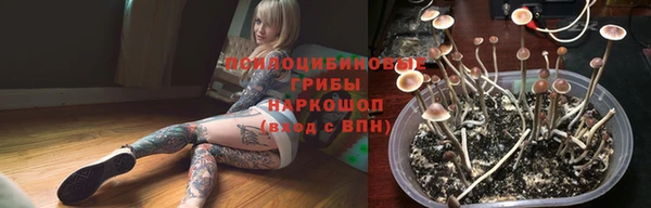 прущая мука Богородск